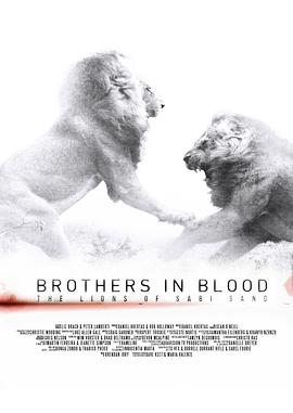 狮王之路 Brothers in Blood: The Lions of <span style='color:red'>Sabi</span> Sand