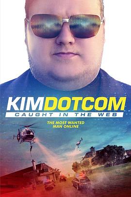 金宝：网络现形记 Kim Dotcom: Caught in the Web