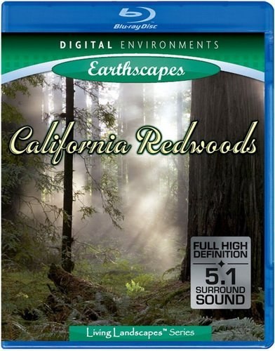 世界上最美丽的<span style='color:red'>地</span><span style='color:red'>方</span>:加州红树林海岸 Living Landscapes California Redwood Forest