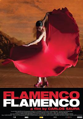 弗拉门<span style='color:red'>戈</span>，弗拉门<span style='color:red'>戈</span> Flamenco, Flamenco