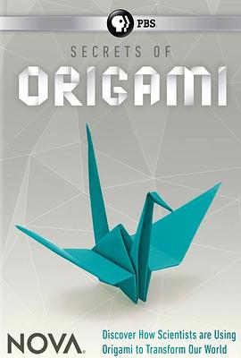 折纸革命 Nova - The <span style='color:red'>Origami</span> Revolution