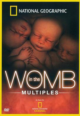子宫日记：多胞胎 In the Womb: Multiples