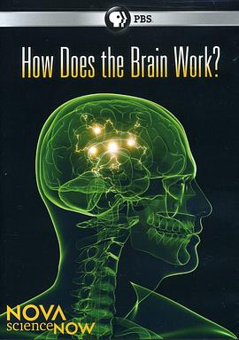 PBS新星今日科<span style='color:red'>学</span><span style='color:red'>系</span>列 大脑的奥秘 Nova ScienceNow: How Does the Brain Work?