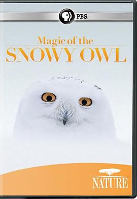 神奇的雪鸮 Magic of the Snowy <span style='color:red'>Owl</span>
