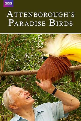 <span style='color:red'>爱登堡</span>的极乐鸟世界 Attenborough's Paradise Birds