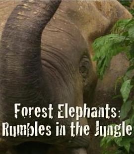 BBC自然世界：森林大象 Forest <span style='color:red'>Elephants</span> - Rumbles in the Jungle