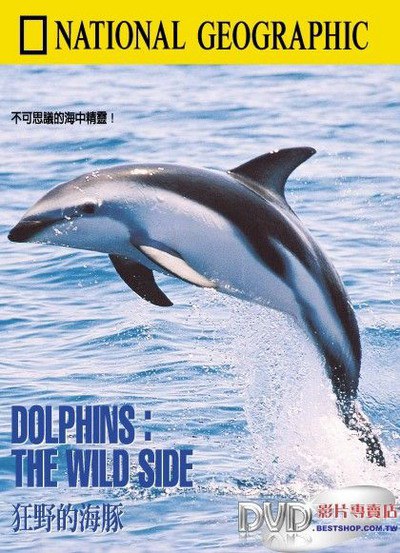 国家地理百年纪念： 狂野的海豚 国家地理百年纪念： 狂野的<span style='color:red'>海豚 Dolphins</span> : The Wild Side