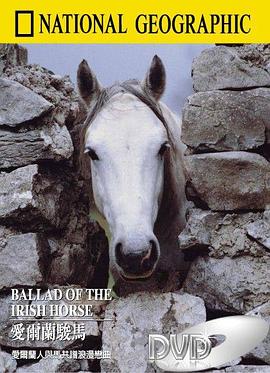 爱尔兰骏马 Ballad of the Irish <span style='color:red'>Horse</span>