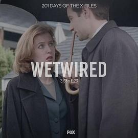 The X Files - Season 3, Episode <span style='color:red'>23</span>: Wetwired