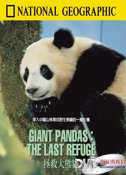 拯<span style='color:red'>救</span><span style='color:red'>大</span>熊猫 Giant Pandas - The Last Refuge