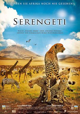 非洲：<span style='color:red'>塞</span>伦盖蒂国家公园 Africa: The Serengeti