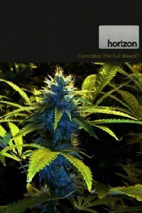 BBC Horizon: Cannabis: The Evil <span style='color:red'>Weed</span>?