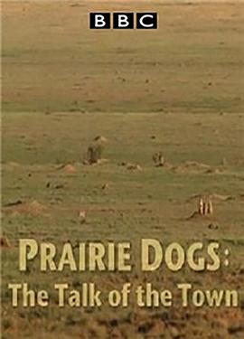 自然世界 <span style='color:red'>草</span>原土拨<span style='color:red'>鼠</span>：语言大师 Natural World: Prairie Dogs - Talk of the Town
