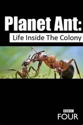蚂蚁星球 <span style='color:red'>Planet</span> Ant: Life Inside the Colony
