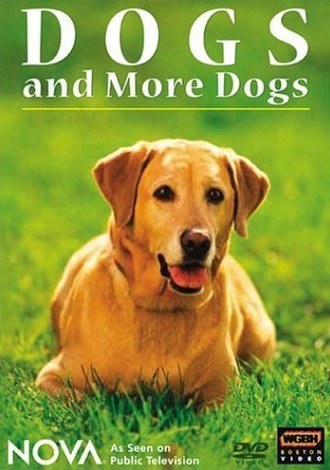 狗的起源与<span style='color:red'>演化</span> Nova: Dogs and More Dogs