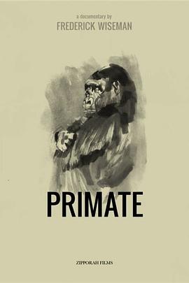 灵长类 Primate