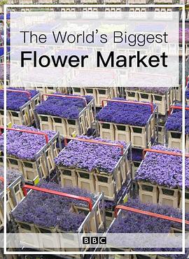 世界<span style='color:red'>上</span>最大的鲜花市<span style='color:red'>场</span> The World's Biggest Flower Market