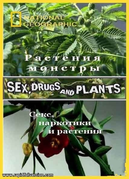 国家地理 <span style='color:red'>植</span><span style='color:red'>物</span>的奥妙世界 National Geographic Channel: Sex, Drugs And Plants