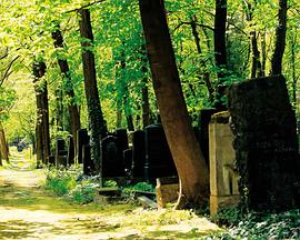 地下天堂 犹太公墓 Im Himmel, unter der Erde - Der jüdische Friedhof Weißensee