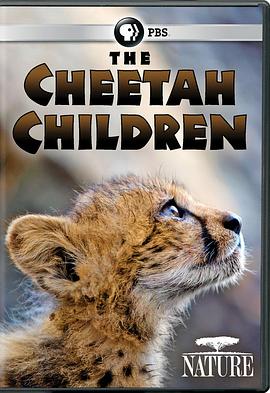 猎<span style='color:red'>豹</span>宝宝 The Cheetah Children