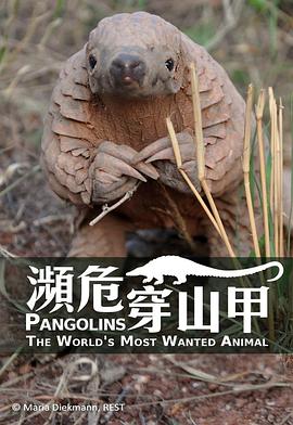 穿山甲：被捕杀最多的动物 Pangolins: The World's Most Wanted Animal
