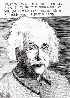 爱<span style='color:red'>因</span><span style='color:red'>斯</span>坦的大脑 Einstein's genius