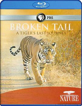 老虎“断尾”的最后旅程 <span style='color:red'>Nature</span>: Broken Tail A Tiger's Last Journey