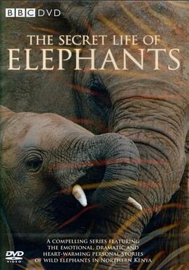 大象的秘密生活 The Secret Life of <span style='color:red'>Elephants</span>