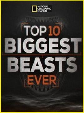十大巨兽排行榜 Top 10 Biggest Beasts <span style='color:red'>Ever</span>