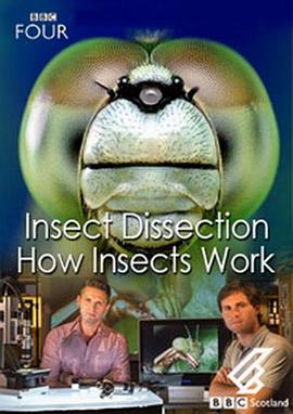 昆虫解剖：虫体工作原理 Insect Dissection: How Insects Work