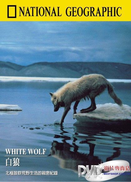 国家地理：白狼 WHITE WOLF