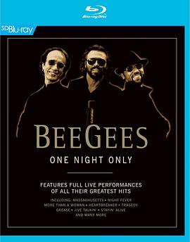 比吉斯：仅此一晚演唱会 Bee Gees: One Night Only