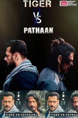 老虎VS帕坦 Tiger vs Pathaan