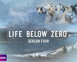零度以下的生活 第四季 Life Below Zero Season 4