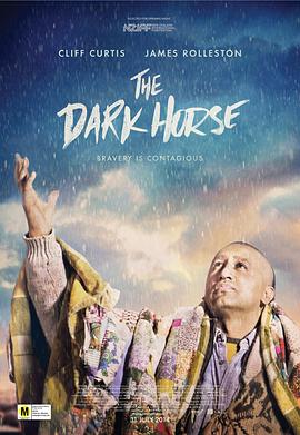 黑马 The Dark Horse