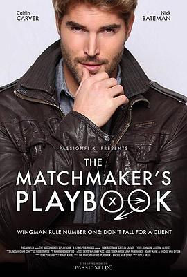 媒人手<span style='color:red'>册</span> The Matchmaker's Playbook