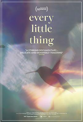 每一件小事 Every Little Thing