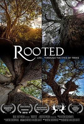 生命之树 Rooted