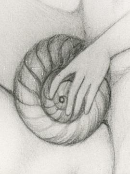 Escargot de Venus