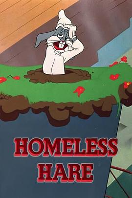 无家可归的野兔 Homeless Hare