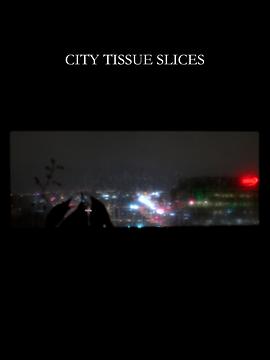 城市组织切片 City Tissue Slices