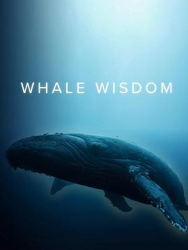 鲸鱼的智慧 Whale Wisdom