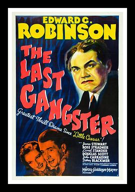 末路枭雄 The Last <span style='color:red'>Gangster</span>