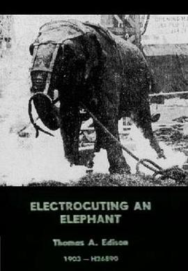 电击大象 Electrocuting an Elephant