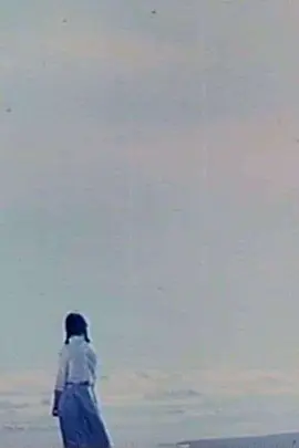 雨