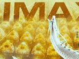  追光动画《白蛇：浮生》8.10登陆IMAX影院 大银幕国风盛宴相会七夕 
